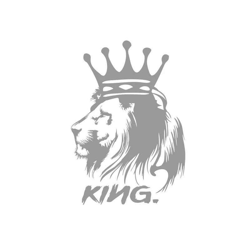 برچسب بدنه خودرو رادیانس طرح Kiing کد B16