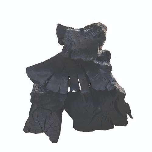 زغال فشرده مدل G1500