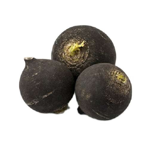 ترب سیاه درجه یک - 1 کیلوگرم