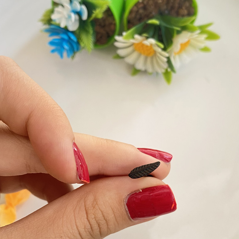 پیرسینگ گوش مدل بال پیرسینگ گوش مدل بال