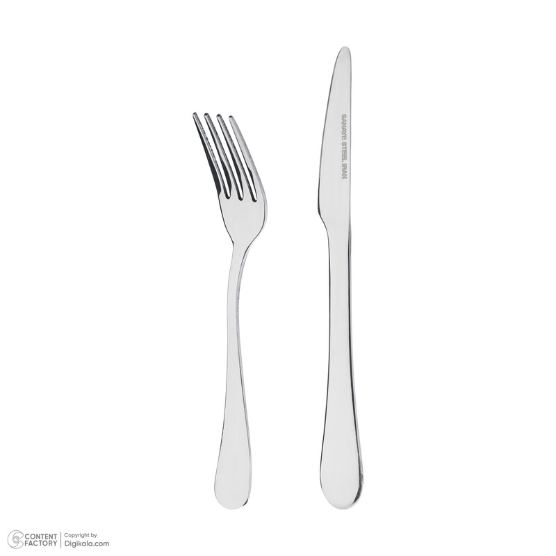 ست کارد و چنگال میوه خوری 12 پارچه صنایع استیل ایران مدل پارما
