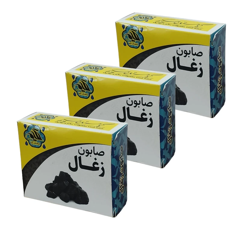 صابون شستشو گیاهستان حکیم مدل زغال وزن 70 گرم بسته 3 عددی