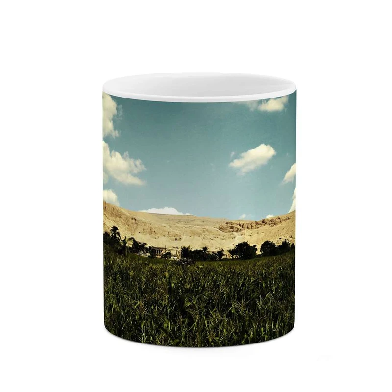 ماگ کاکتی مدل منظره کد mgh10854