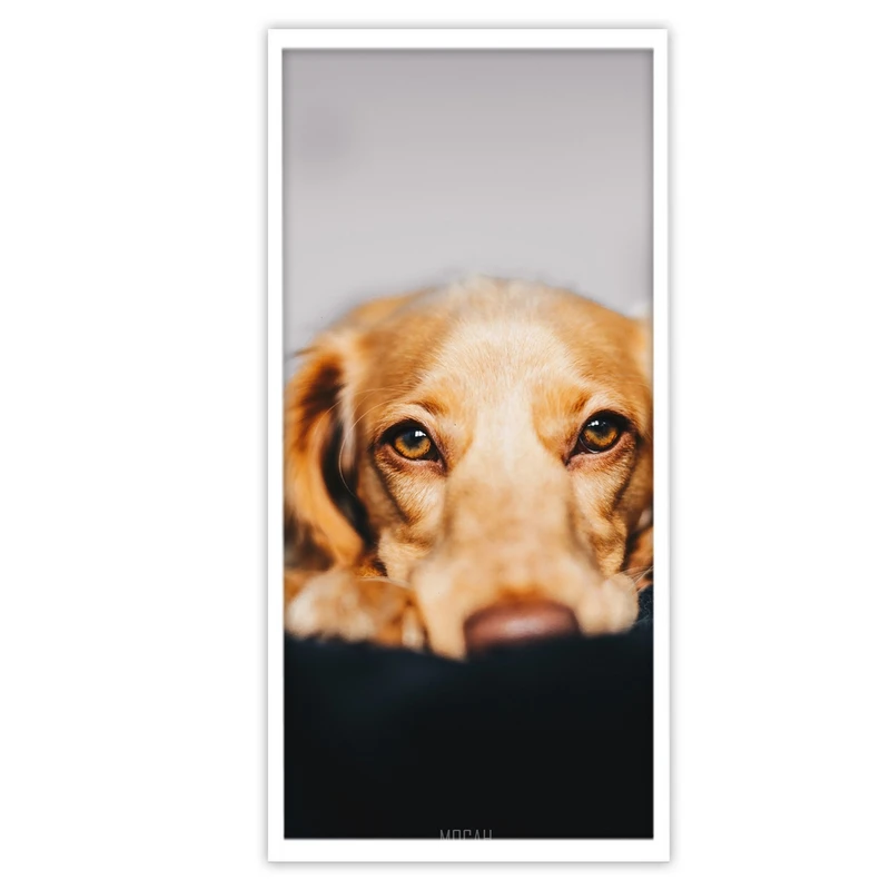 تابلو بکلیت طرح سگ گلدن مدل W-S3498