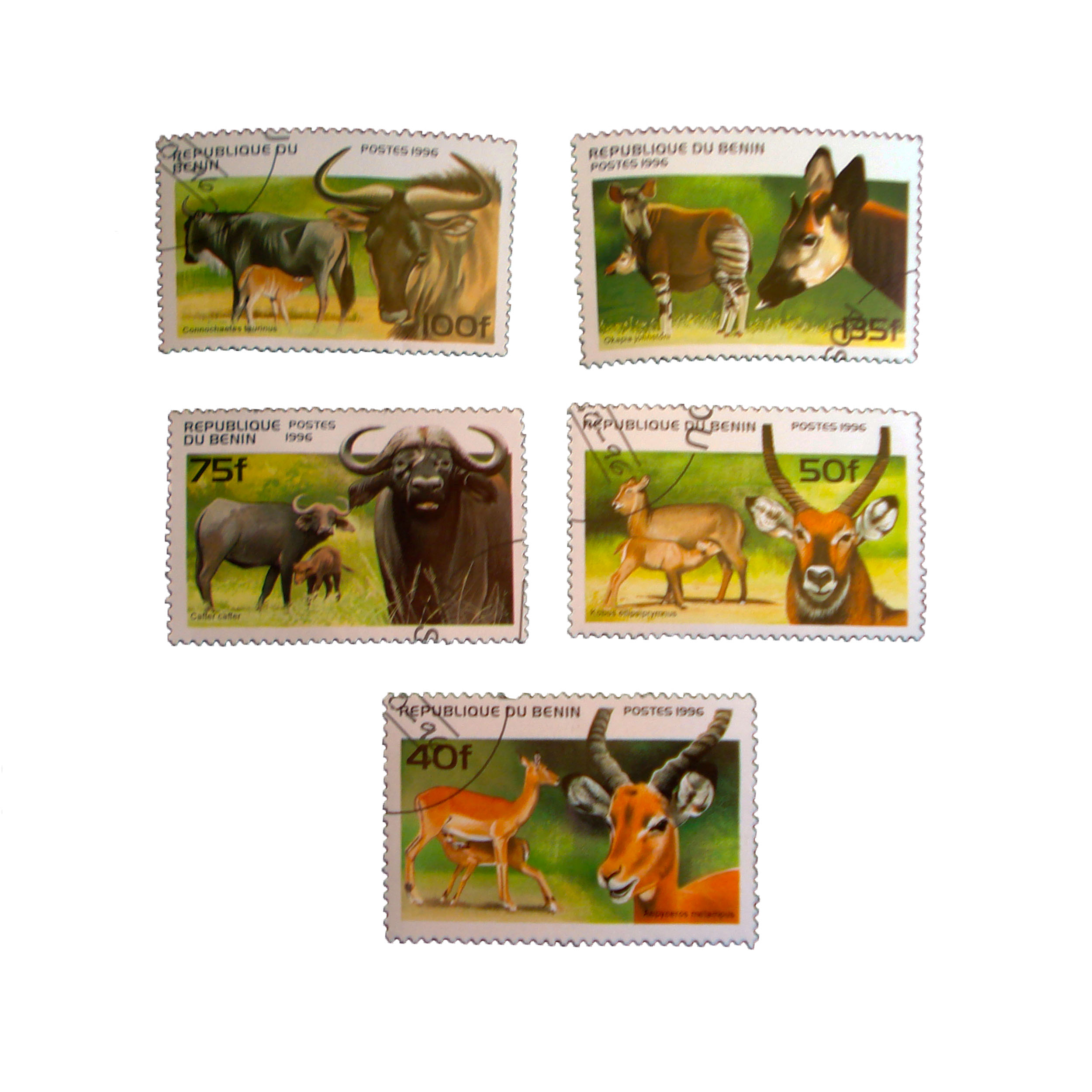 تمبر یادگاری طرح طبیعت مدل حیوانات کد mo-455 مجموعه 5 عددی