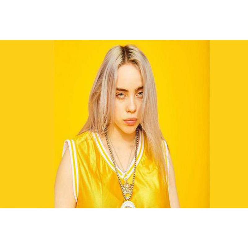 تابلو شاسی مدل خواننده بیلی آیلیش کد T5590