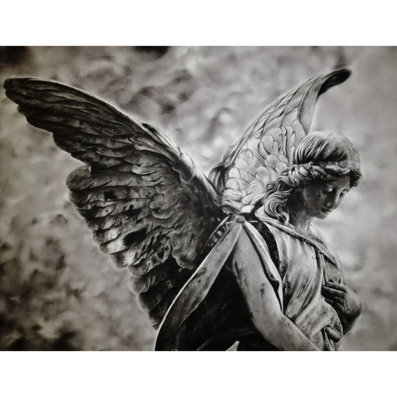  تابلو نقاشی سیاه قلم مدل فرشته رقیب