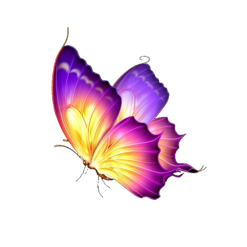 استیکر پارچه و لباس پاد آفرین مدل پرندگان پروانه کد 168