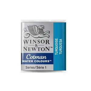 قرص آبرنگ وینزور اند نیوتن کد w654