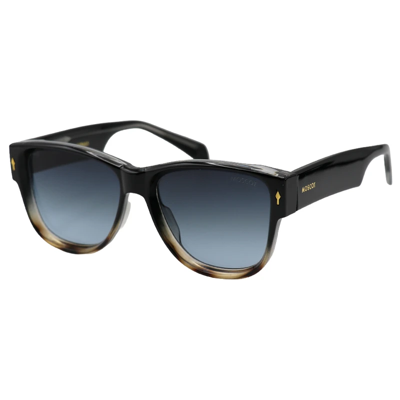 عینک آفتابی ویفرر (Wayfarer) مدل 1202
