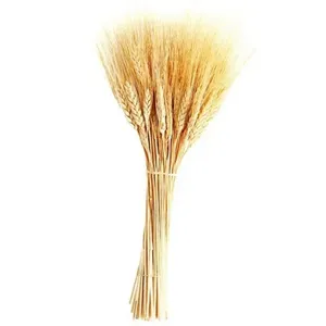 گل خشک مدل خوشه گندم بسته ۲۰ عددی
