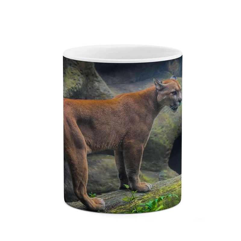 ماگ کاکتی مدل سیاه گوش کد mgh14665