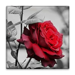 زیر لیوانی  مدل گل کد    4630765_3204