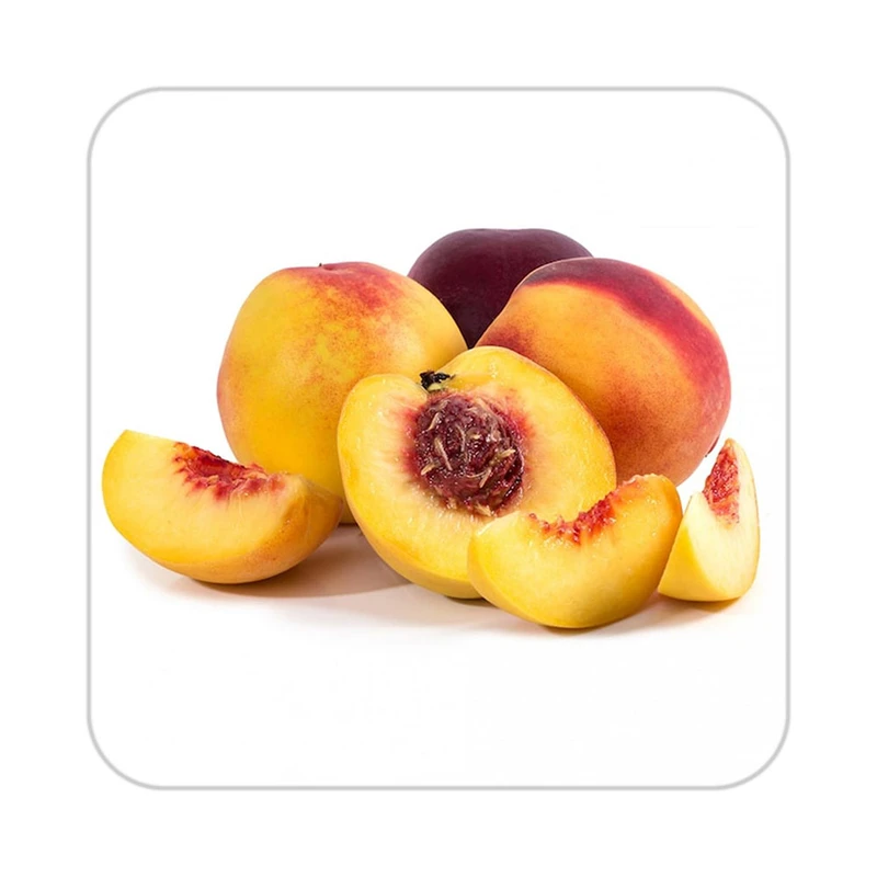 زیر لیوانی کاکتی طرح میوه مدل mp21719