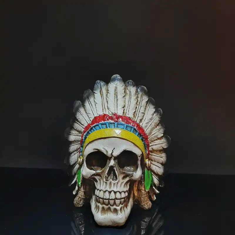 مجسمه مدل اسکلت سرخپوست