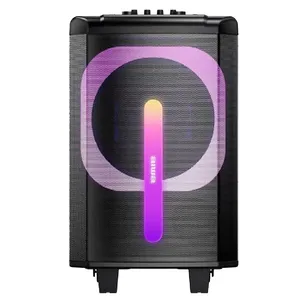 اسپیکر قابل حمل آیوا مدل SS-X200DSP PRO