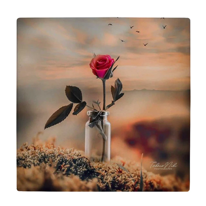 زیر لیوانی طرح گلدان شیشه ای و گل رز کد    4046091_2491