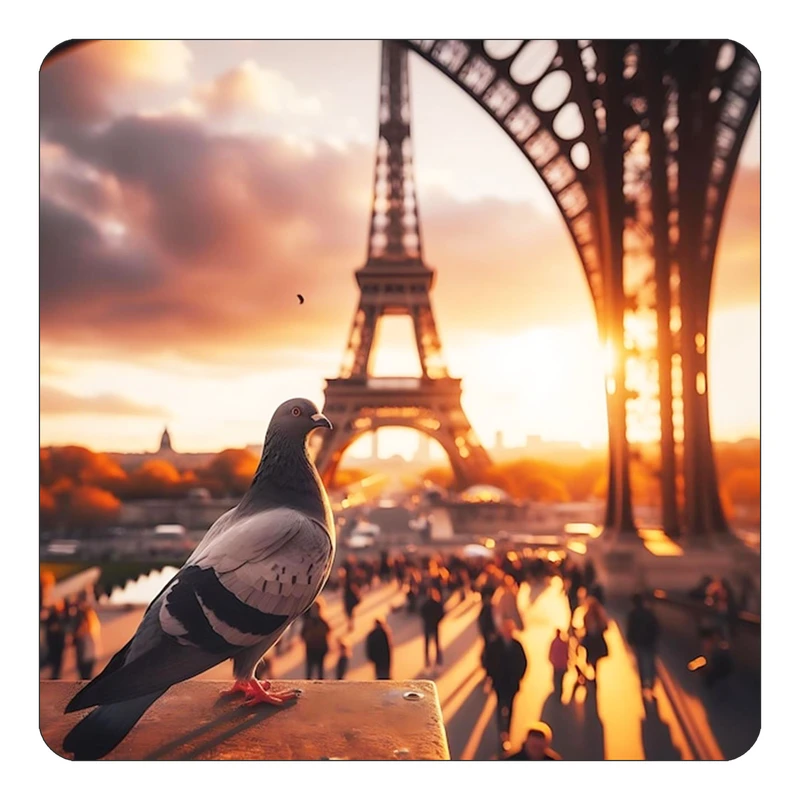 مگنت کاکتی طرح پاریس Paris مدل mp57736