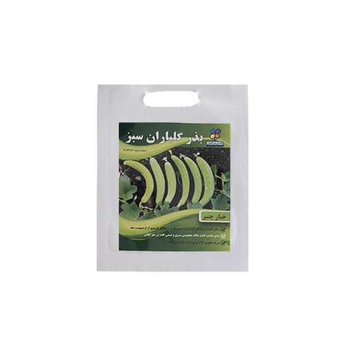 بذر خیار چنبر شرکت گلباران سبز گیلان مدل ‌‌BKH  بسته 20 عددی
