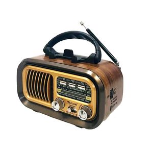 نقد و بررسی رادیو گولون مدل RX-BT628 توسط خریداران