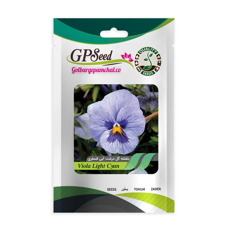 بذر گل بنفشه گل درشت آبی فسفری گلبرگ پامچال کد GPF-237