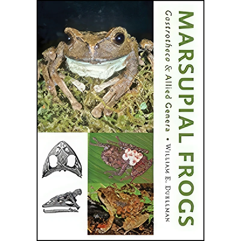 کتاب Marsupial Frogs اثر William E. Duellman انتشارات Johns Hopkins University Press