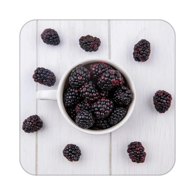 زیر لیوانی کاکتی طرح میوه مدل mp22304