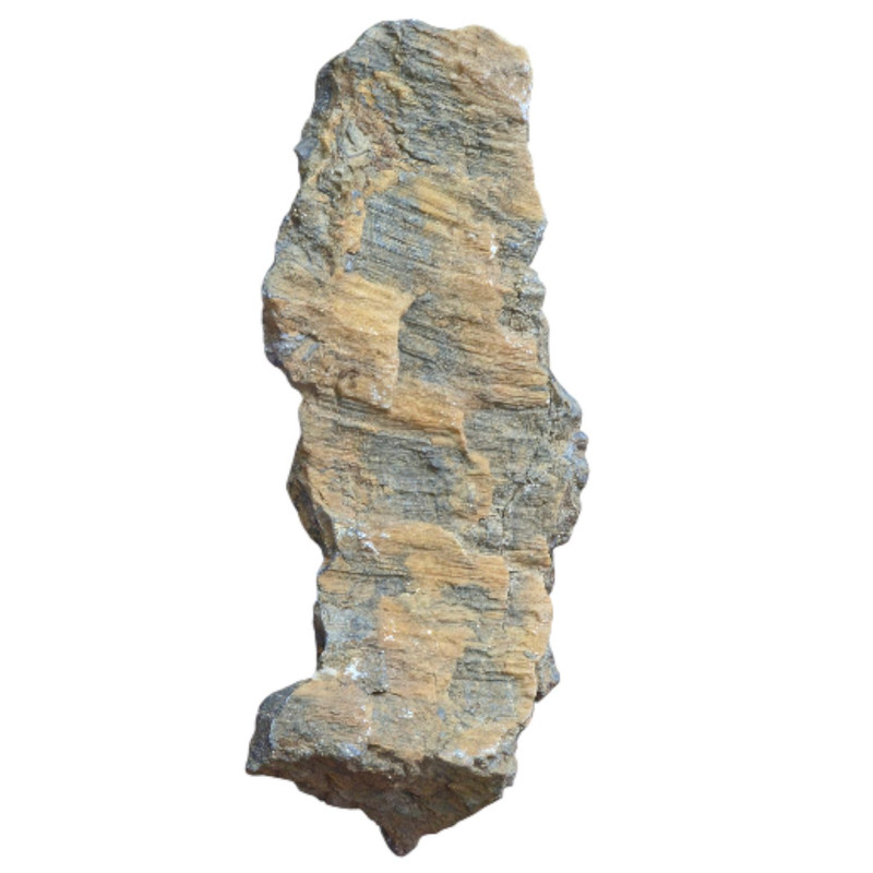 سنگ راف مدل سنگ فسیل کد 082