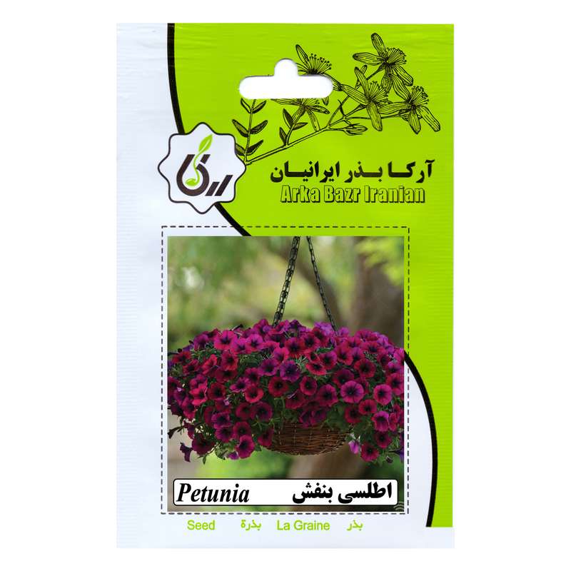 بذر گل اطلسی بنفش آرکا بذر ایرانیان کد 166-ARK