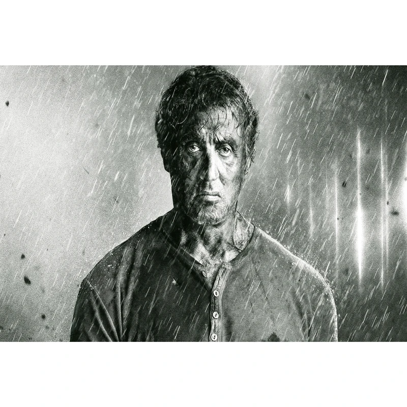 تابلو شاسی مدل بازیگر سیلوستر استالونه راکی T6290