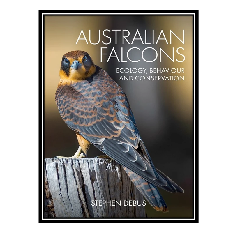 کتاب Australian Falcons: Ecology, Behaviour and Conservation اثر Stephen Debus انتشارات مؤلفین طلایی