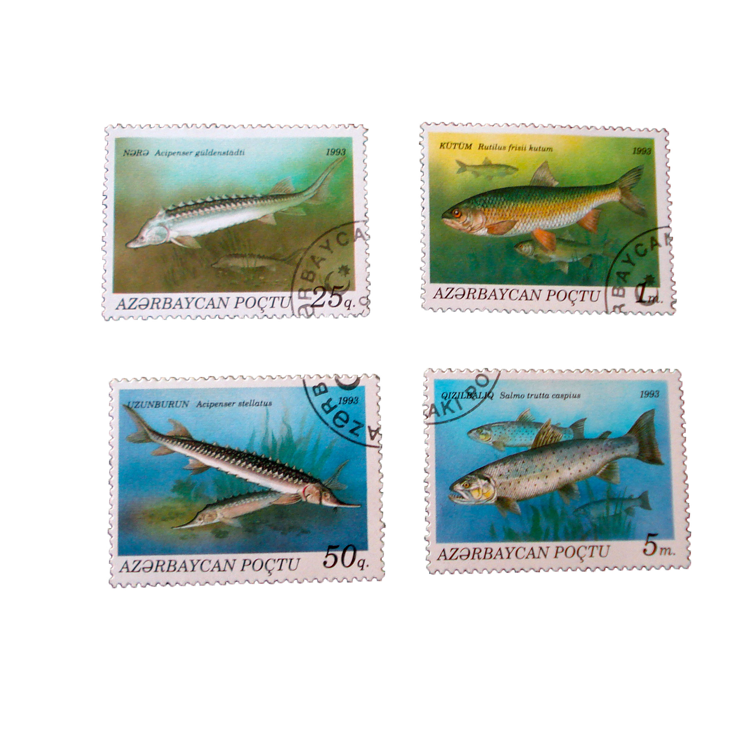 تمبر  یادگاری طرح طبیعت مدل ماهی کد fish-708 مجموعه 4 عددی