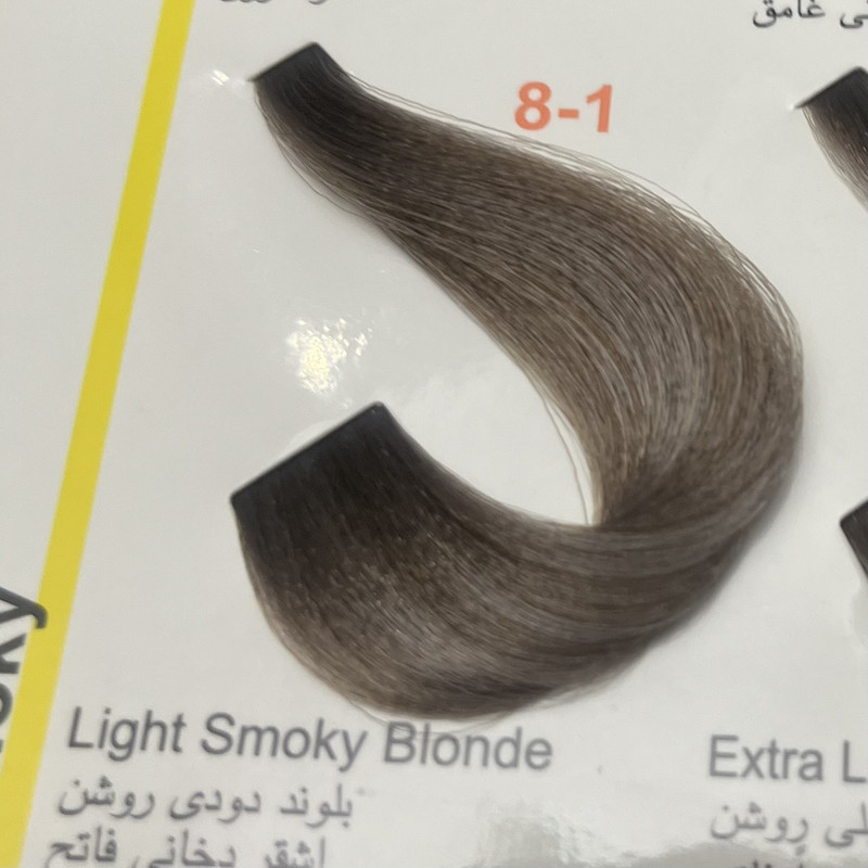 رنگ مو پیگو شماره 6/1 حجم 100 میلی لیتر رنگ بلوند دودی تیره