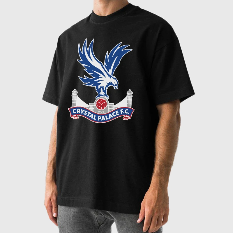 تی شرت آستین کوتاه مردانه مدل اسپرت کریستال پالاس کد v033