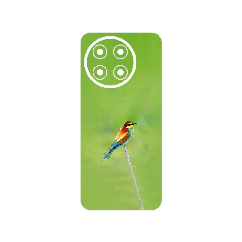 برچسب پوششی ماهوت مدل European bee-eater مناسب برای گوشی موبایل تکنو Spark 30 Pro