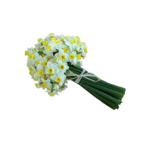 دسته گل نرگس مدل s510