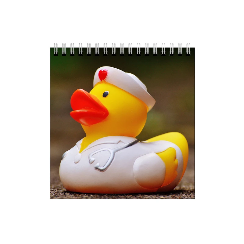 دفتر طراحی طرح اردک پرستار کد 8948475