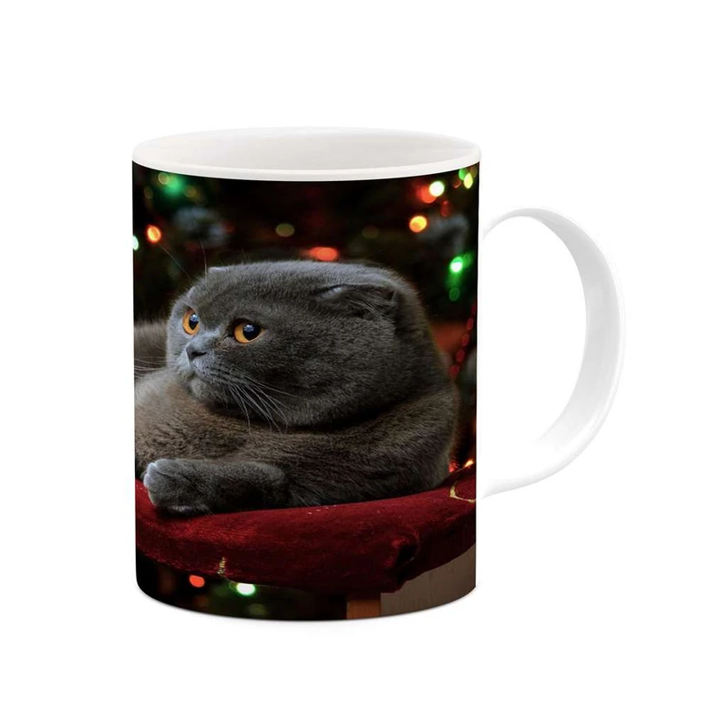 ماگ کاکتی مدل گربه کد mgh16574