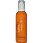 ماسک مو لویز مدل Dry and Damaged Hair حجم 200 میلی لیتر