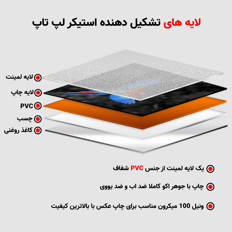استیکر لپ تاپ طرح Macaw کد p-1178 مناسب برای لپ تاپ 15.6 اینچ