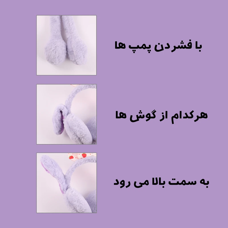 عکس شماره 4