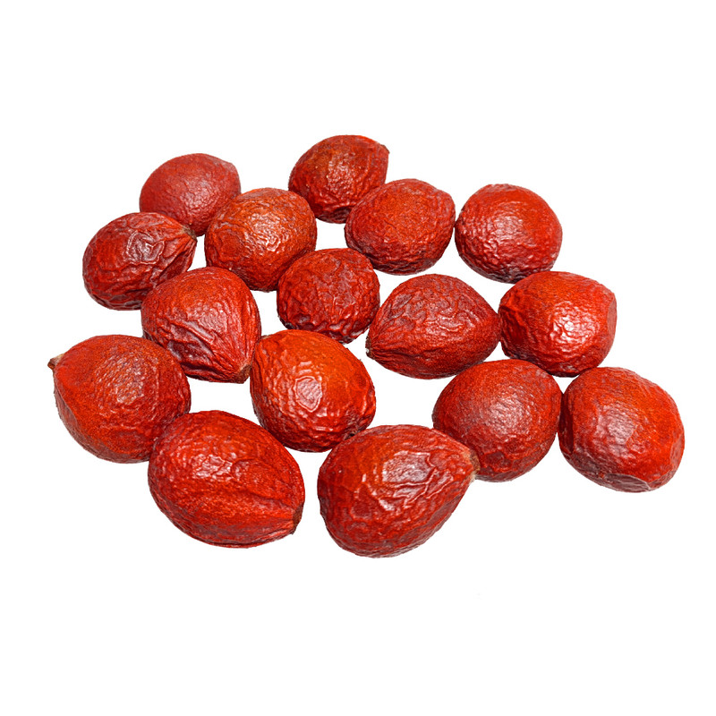 بذر گیاه سیکاس کد Ms15 وزن 240 گرم