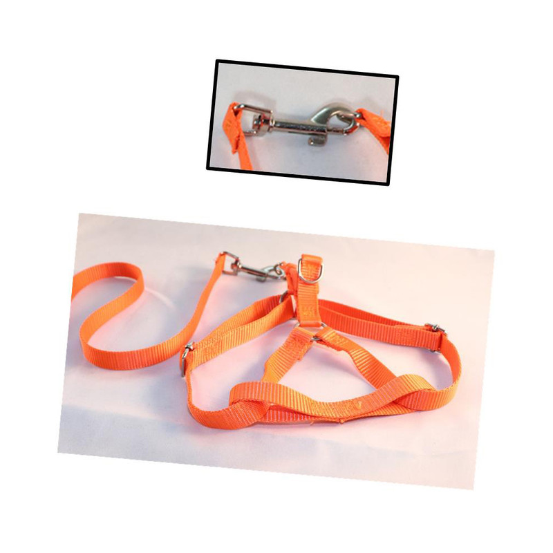 قلاده سگ و گربه کد OR-77