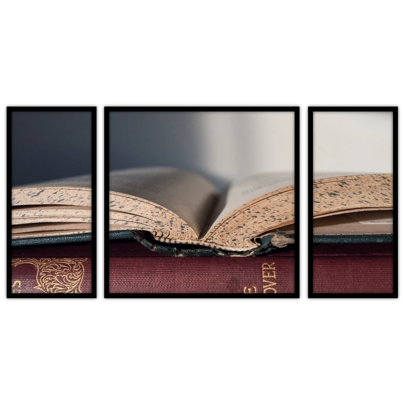 تابلو بکلیت طرح  کتاب و مطالعه مدل B-bu3179 مجموعه 3 عددی