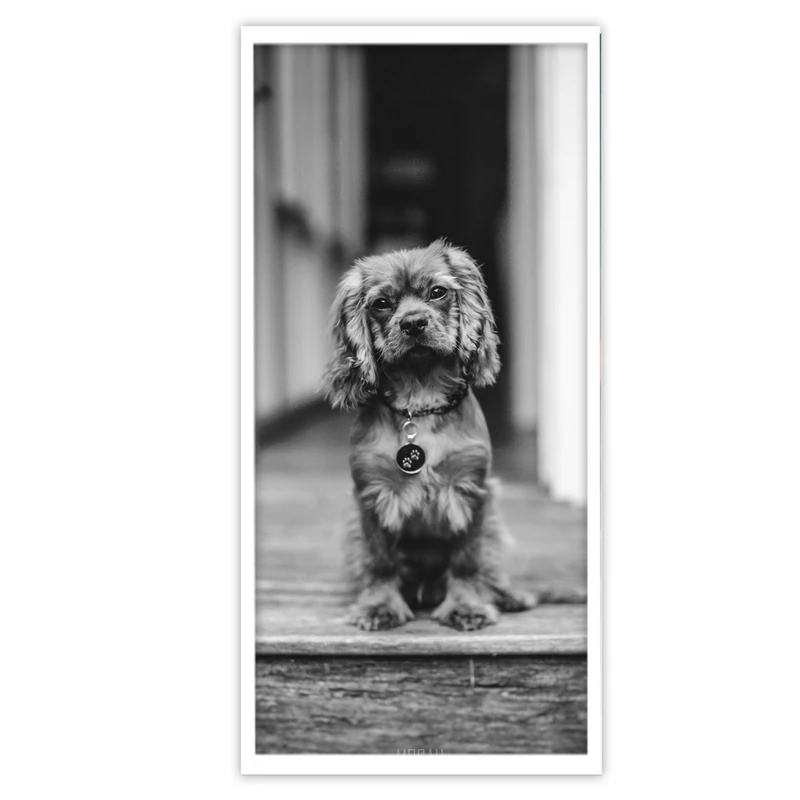 تابلو بکلیت طرح حیوان خانگی سگ مدل W-S3671