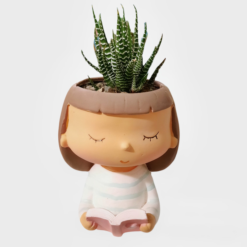 گیاه طبیعی هاورتیا گورخری مدل دختر کتاب خوان