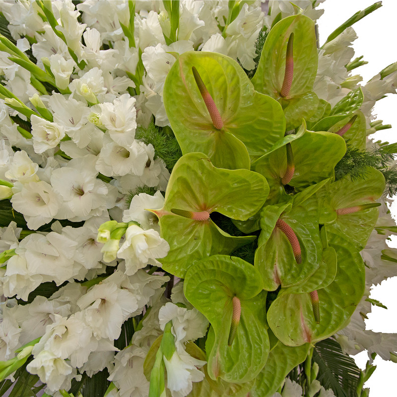 تاج گل مدل P.T.204