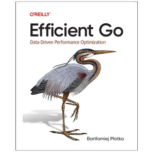 کتاب Efficient Go Data-Driven Performance Optimizations اثر Bartłomiej Płotka انتشارات رایان کاویان