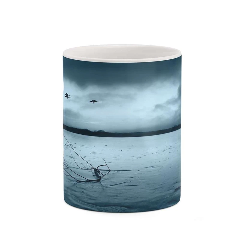 ماگ کاکتی مدل فانتزی کد mgh18983