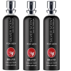 عطر جیبی مردانه برد برند کالکشن مدل سیلور سنت حجم 25 میلی لیتر مجموعه 3 عددی